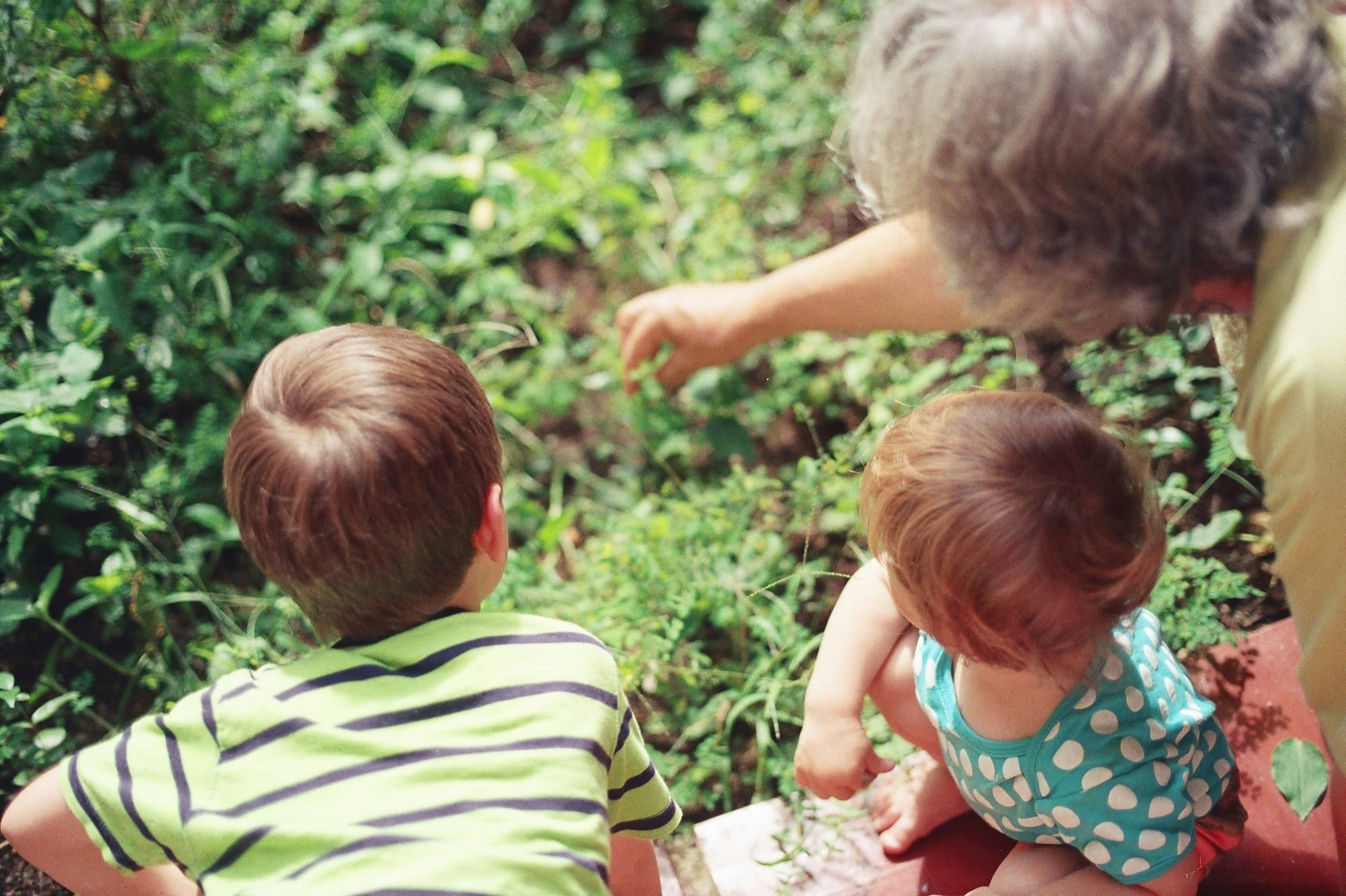 Huntsville Grandparents Rights Lawyer